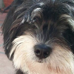 Meet your Posher, Jeff